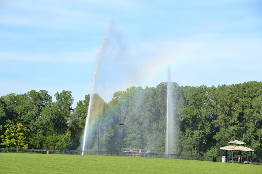 Tourist Attraction «Gateway Geyser», reviews and photos, 185 W Trendley Ave, East St Louis, IL 62201, USA