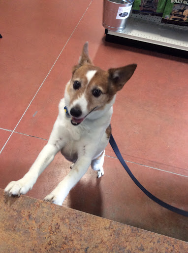 Pet Store «Exclusive Pet Supply», reviews and photos, 21829 NE Halsey St, Fairview, OR 97024, USA