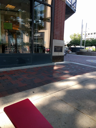 Book Store «Barnes & Noble», reviews and photos, 4801 Bethesda Ave, Bethesda, MD 20814, USA