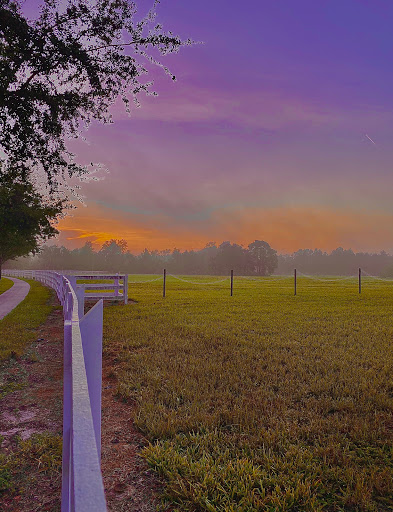 Golf Course «Harmony Golf Preserve», reviews and photos, 7252 5 Oaks Dr, St Cloud, FL 34773, USA