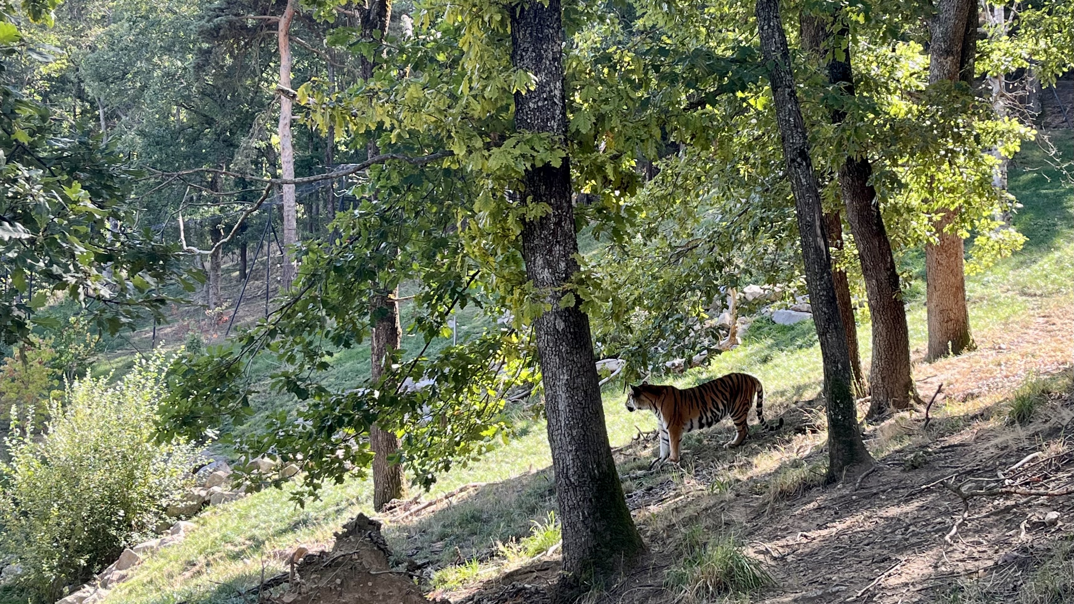 Photo n° 5 de l'avis de Jérémy.A fait le 20/09/2022 à 06:50