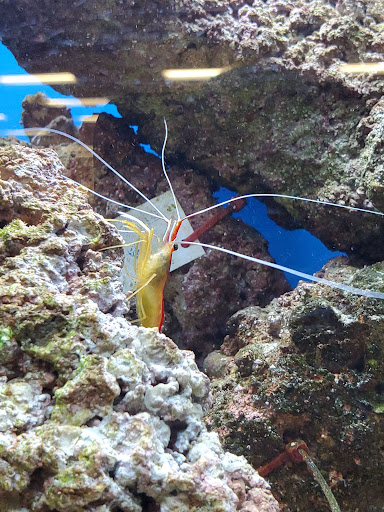 Pet Supply Store «Petco Animal Supplies», reviews and photos, 2365 NW Kings Blvd, Corvallis, OR 97330, USA