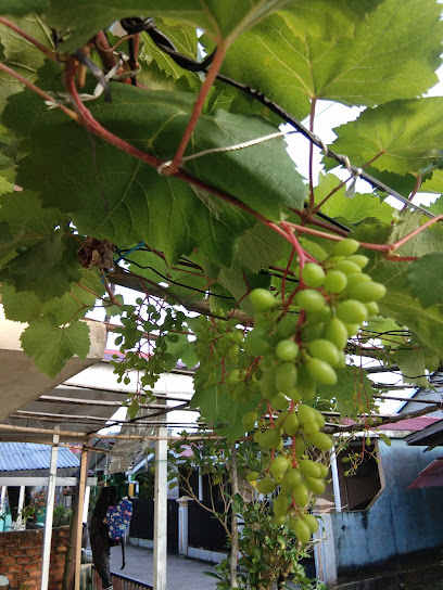 Abu Aisyah grape