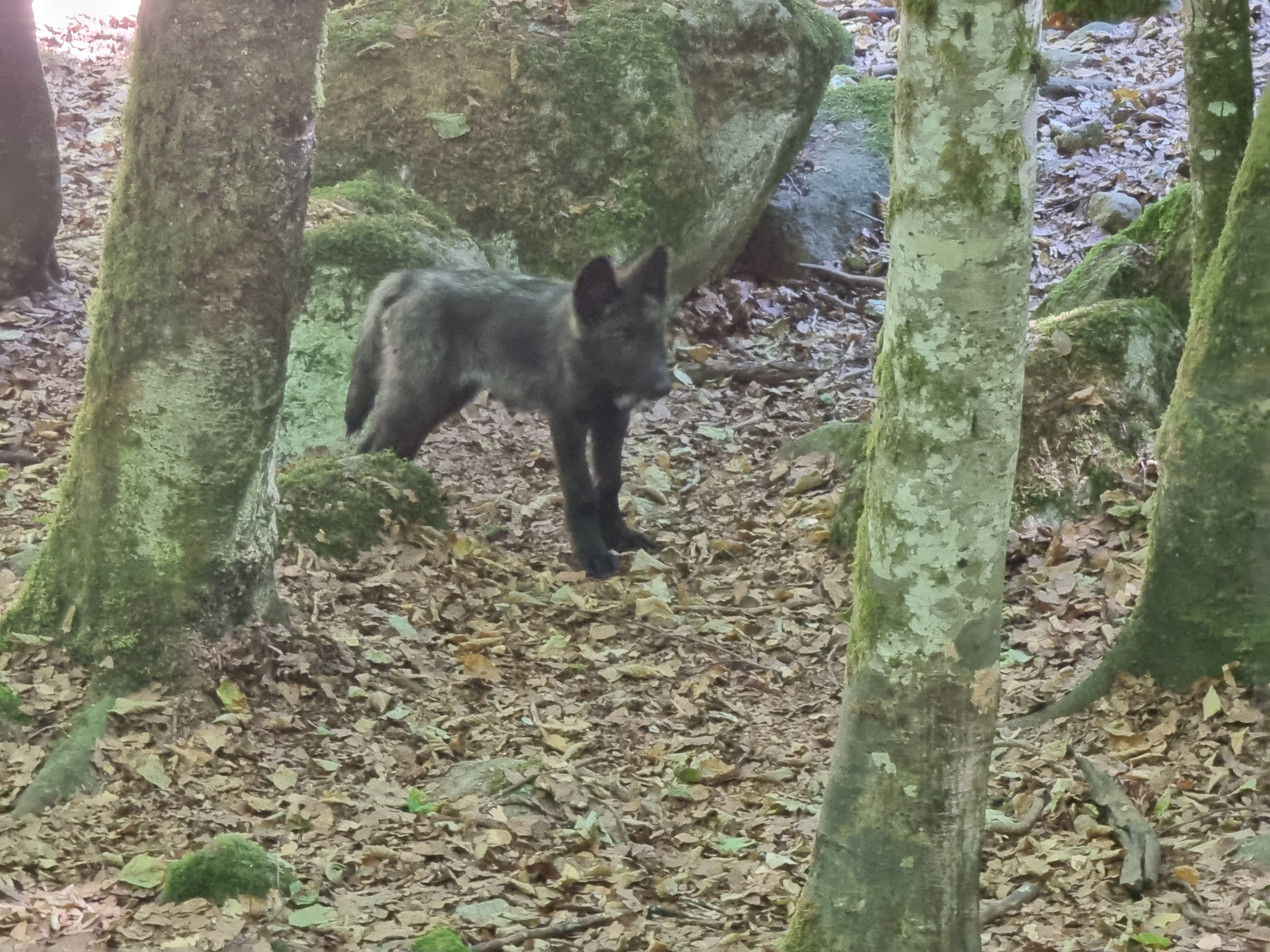 Photo n° 3 de l'avis de Clément.U fait le 27/07/2022 à 09:57