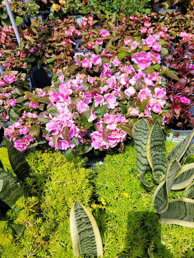 Home Improvement Store «The Home Depot», reviews and photos, 2600 S Lapeer Rd, Lake Orion, MI 48360, USA