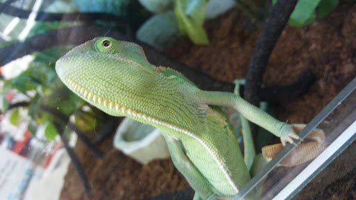 Pet Supply Store «Petco Animal Supplies», reviews and photos, 169 Parkingway, Quincy, MA 02169, USA