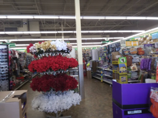 Dollar Store «Dollar Tree», reviews and photos, 765 Bridge St #3, Weymouth, MA 02191, USA