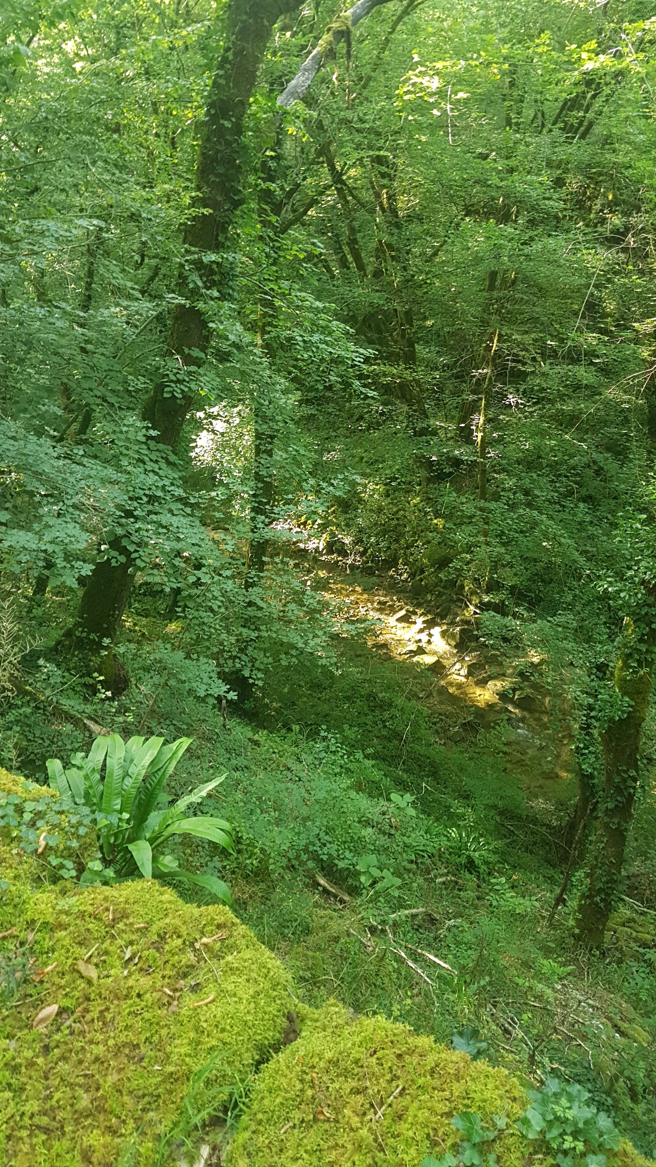 Photo n° 5 de l'avis de CHB.0 fait le 14/08/2021 à 20:18