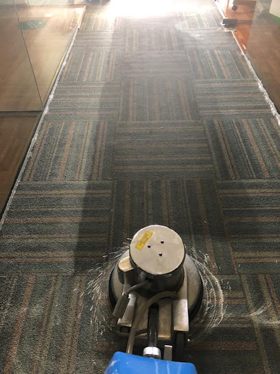 CLEANPlus Tijuana Limpieza profesional de tapicería y alfombras