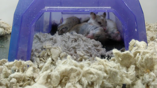 Pet Supply Store «Petco Animal Supplies», reviews and photos, 12551 Jefferson Ave #119, Newport News, VA 23602, USA