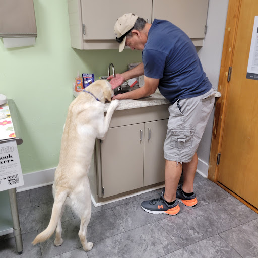 Animal Medical Center image