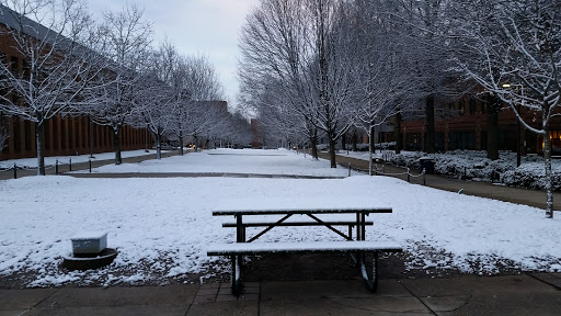 Book Store «George Mason University Official Bookstore», reviews and photos, 4400 University Dr, Fairfax, VA 22030, USA