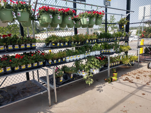 Department Store «Walmart Supercenter», reviews and photos, 1882 Holly St, Blair, NE 68008, USA