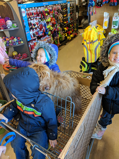 Pet Supply Store «Petco Animal Supplies», reviews and photos, 2823 County Home Rd, Goshen, IN 46526, USA