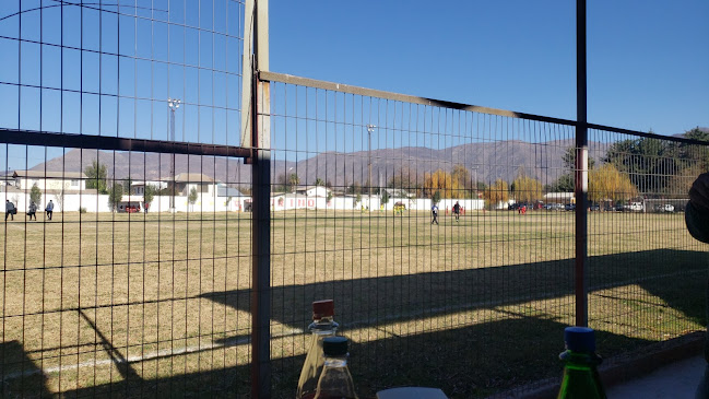 Opiniones de Cancha club deportivo TORINO en Rinconada - Campo de fútbol