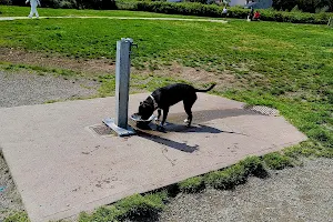 Serpentine Dog-Off-Leash Park image