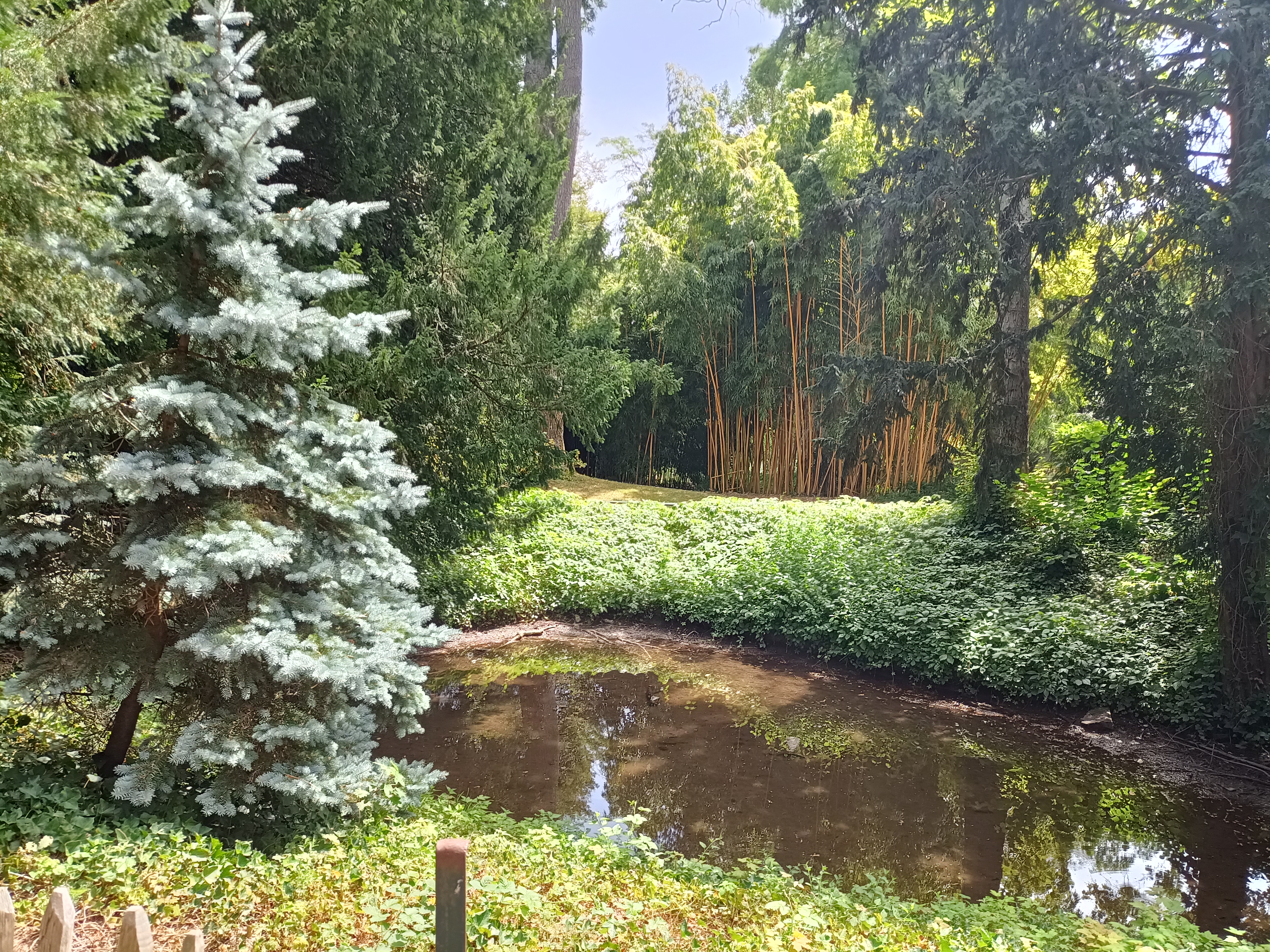 Photo n° 4 de l'avis de Alexis.u fait le 24/11/2019 à 17:35