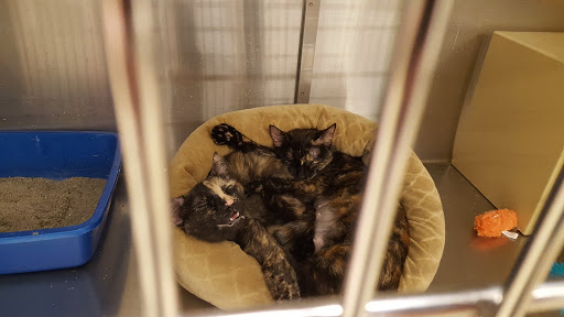 Pet Supply Store «PetSmart», reviews and photos, 10600 Melody Dr, Northglenn, CO 80234, USA