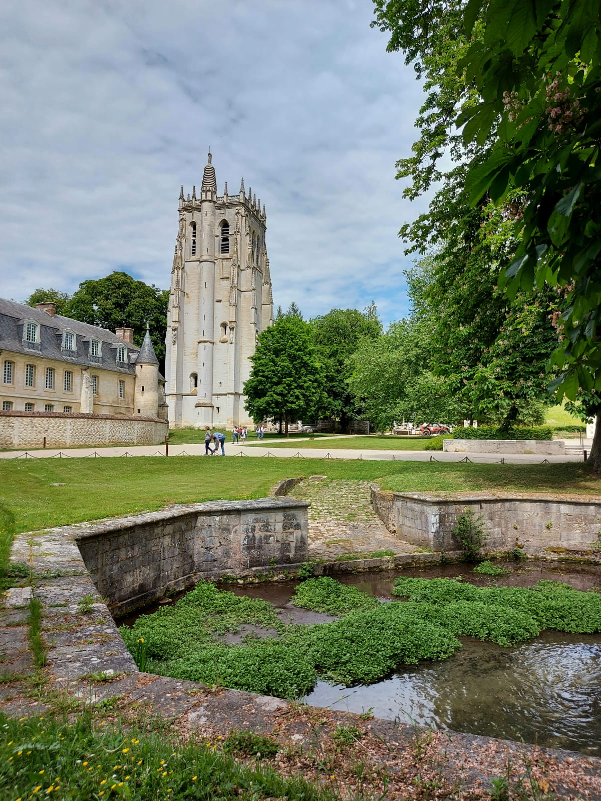 Photo n° 1 de l'avis de H..a fait le 22/05/2022 à 16:46