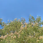 Photo n°8 de l'avis de Celeste.a fait le 25/07/2022 à 10:42 sur le  Solar de Alvega à Alvega