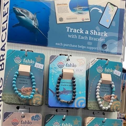 Toy Store «Kidz for Life Toys and Games», reviews and photos, 147 Lighthouse Rd, Hilton Head Island, SC 29928, USA