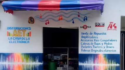 Audio Electrónica Torres