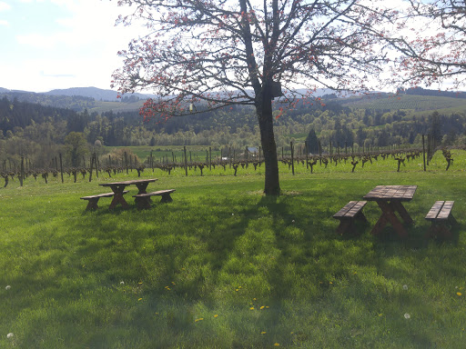 Vineyard «Tualatin Estate Vineyard», reviews and photos, 10850 NW Seavey Rd, Forest Grove, OR 97116, USA