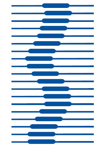 1060 Niagara Falls Blvd # 5, Tonawanda, NY 14150, USA