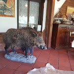 Photo n°3 de l'avis de Spartano. fait le 28/05/2018 à 20:16 sur le  La Casa di Caccia à Pietrapertosa