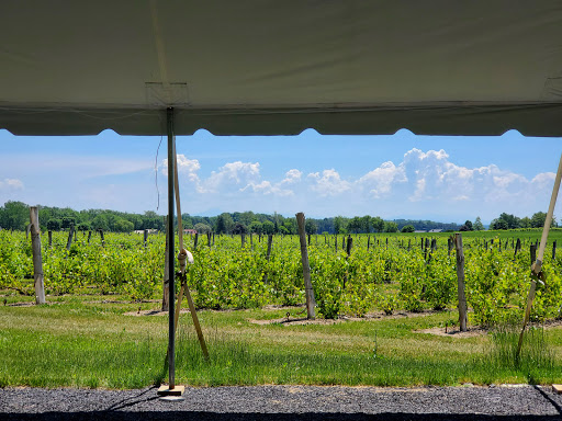 Winery «Snow Farm Vineyard & Winery», reviews and photos, 190 W Shore Rd, South Hero, VT 05486, USA