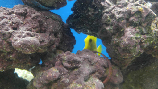 Pet Supply Store «Petco Animal Supplies», reviews and photos, 1210 Providence Hwy, Norwood, MA 02062, USA