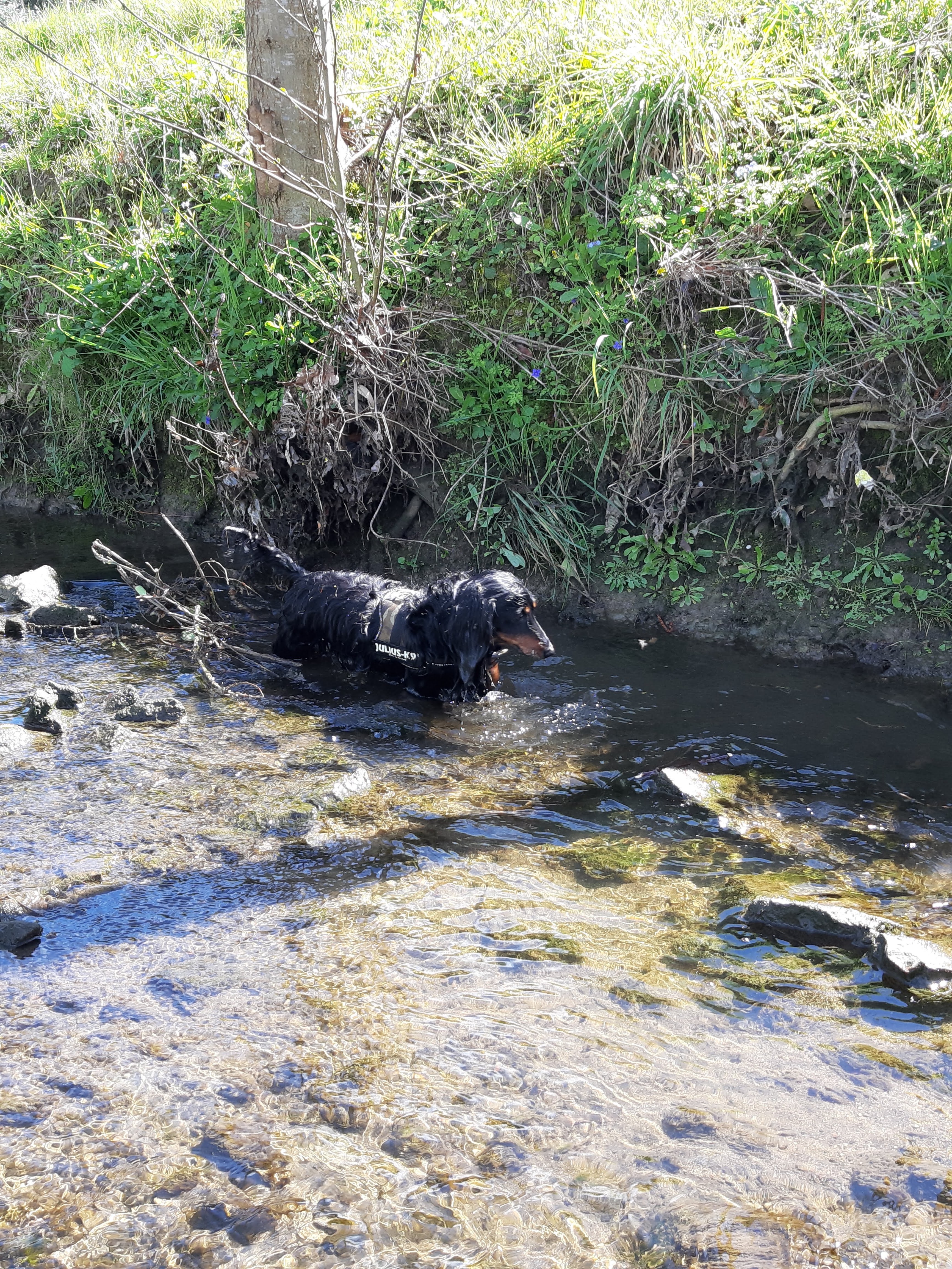 Photo n° 1 de l'avis de Stéphane.a fait le 12/04/2019 à 07:39