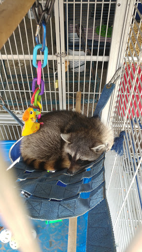 Ranch «Sharkarosa Wildlife Ranch», reviews and photos, 11670 Massey Rd, Pilot Point, TX 76258, USA