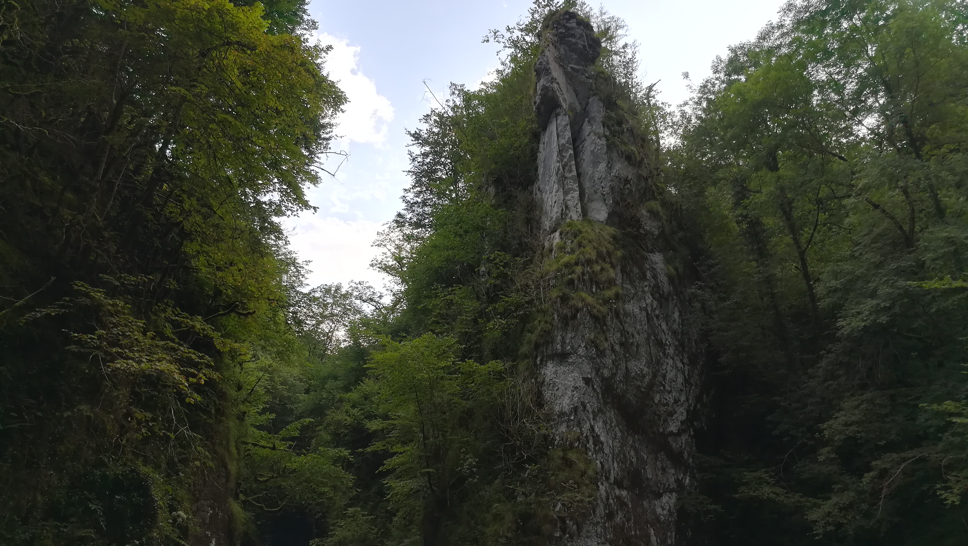 Photo n° 1 de l'avis de Jer.a fait le 27/07/2019 à 18:39