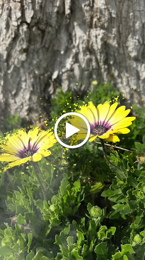 Gardens of the World image