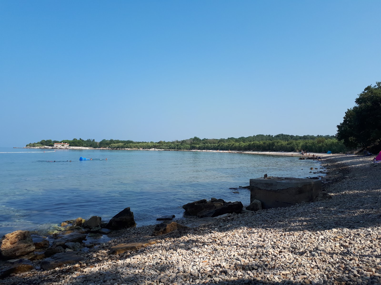 Foto de Dog Dreams beach com seixos bege superfície