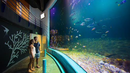 Interactive Aquarium Cancún