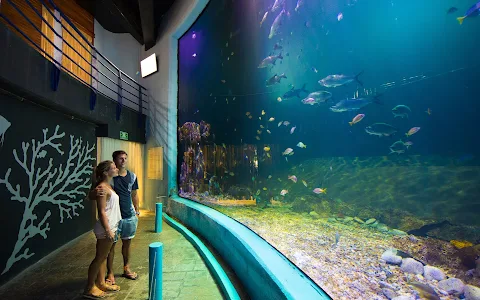 Interactive Aquarium Cancún image