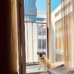 Photo n°1 de l'avis de Ruhrpott-Kitty.a fait le 25/06/2023 à 14:42 sur le  the niu Cobbles à Essen