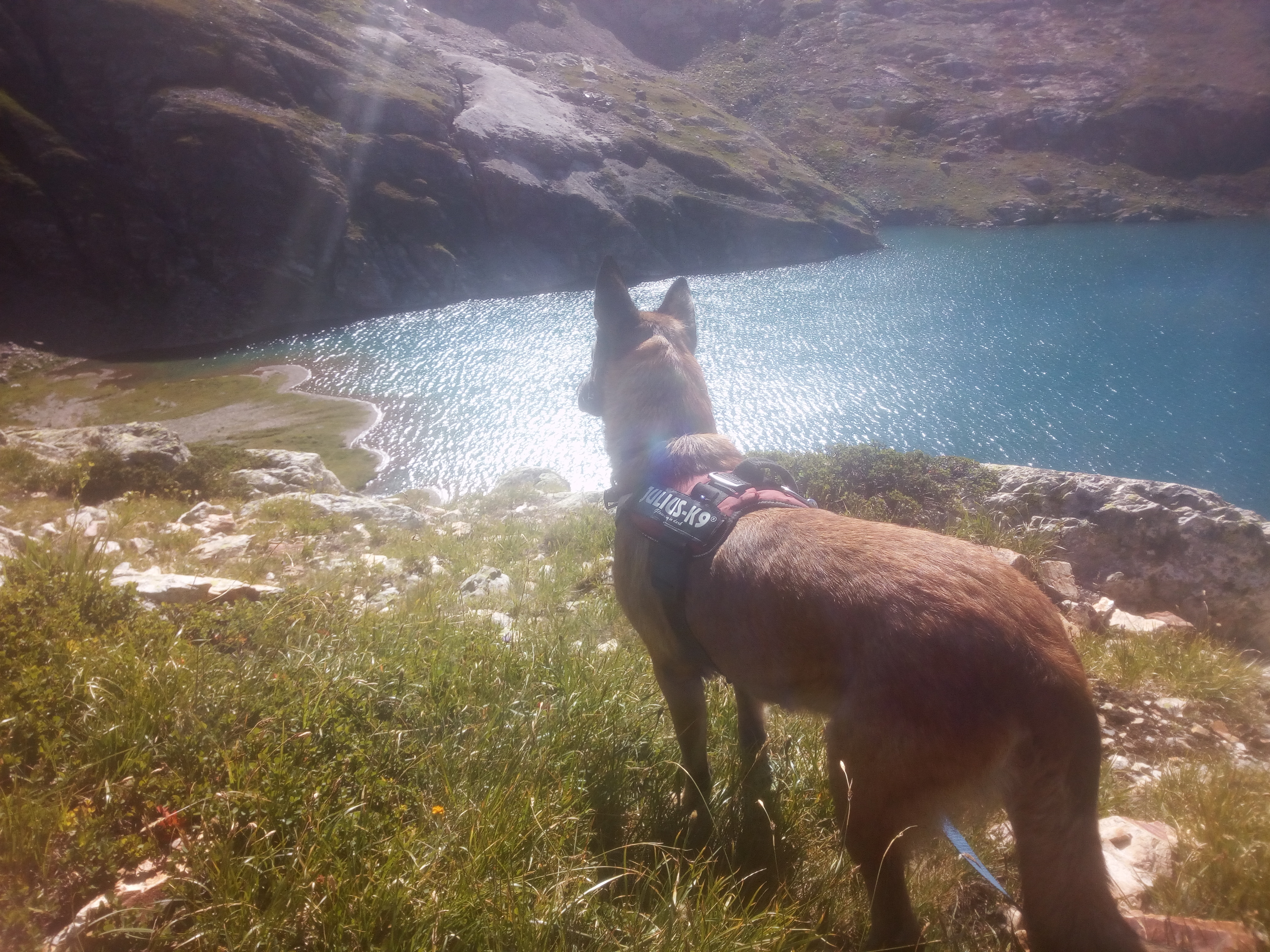 Photo n° 2 de l'avis de Fred.i fait le 12/08/2019 à 20:21