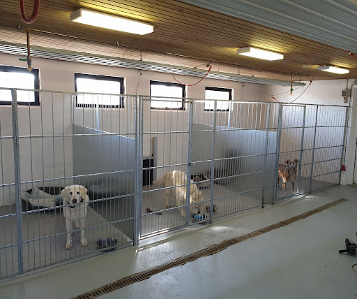 Hirtshals Hunde- og kattepension v/René Jürgensen in Hirtshals, Hjørring