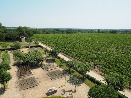 attractions Château de Reignac Saint-Loubès