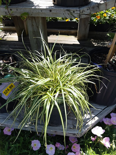 Hardware Store «Spotts Hardware», reviews and photos, 646 Stokes Rd, Medford, NJ 08055, USA