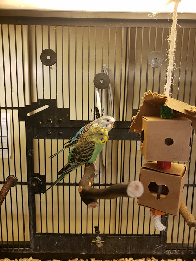 Pet Supply Store «PetSmart», reviews and photos, 5640 Cedar Lake Rd, Minneapolis, MN 55416, USA