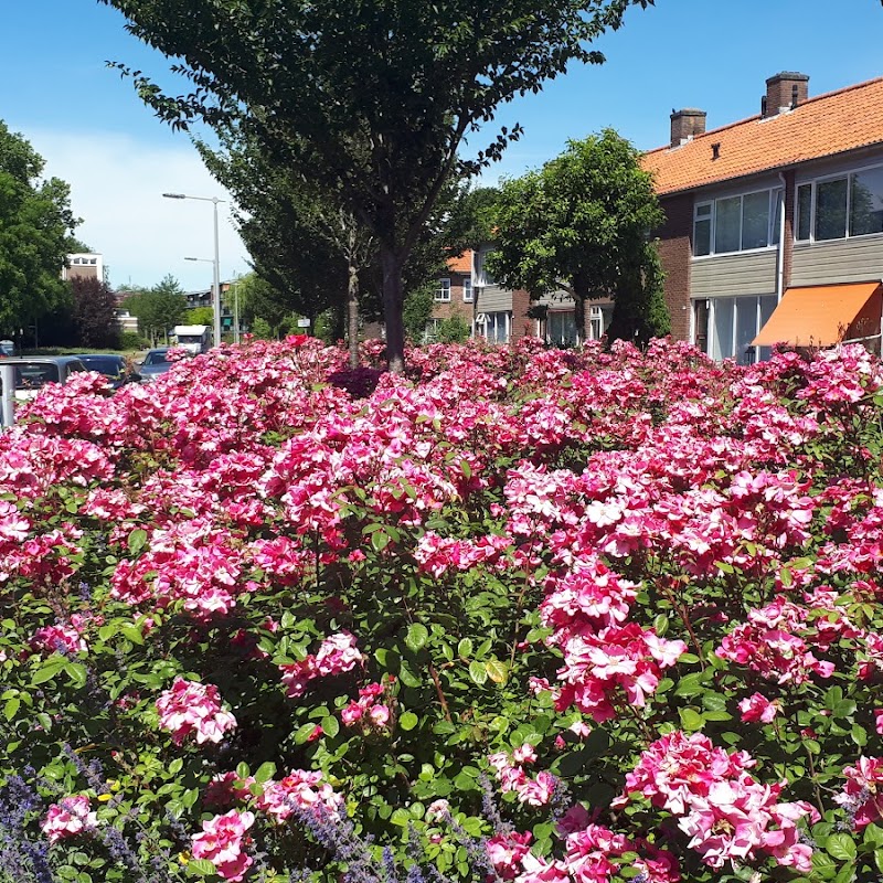 Supermarkt Arnhem Zuid