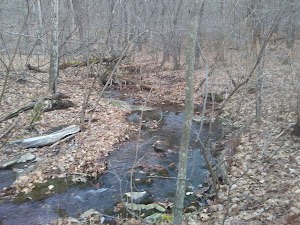 Huckleberry Ridge State Forest - photo 41