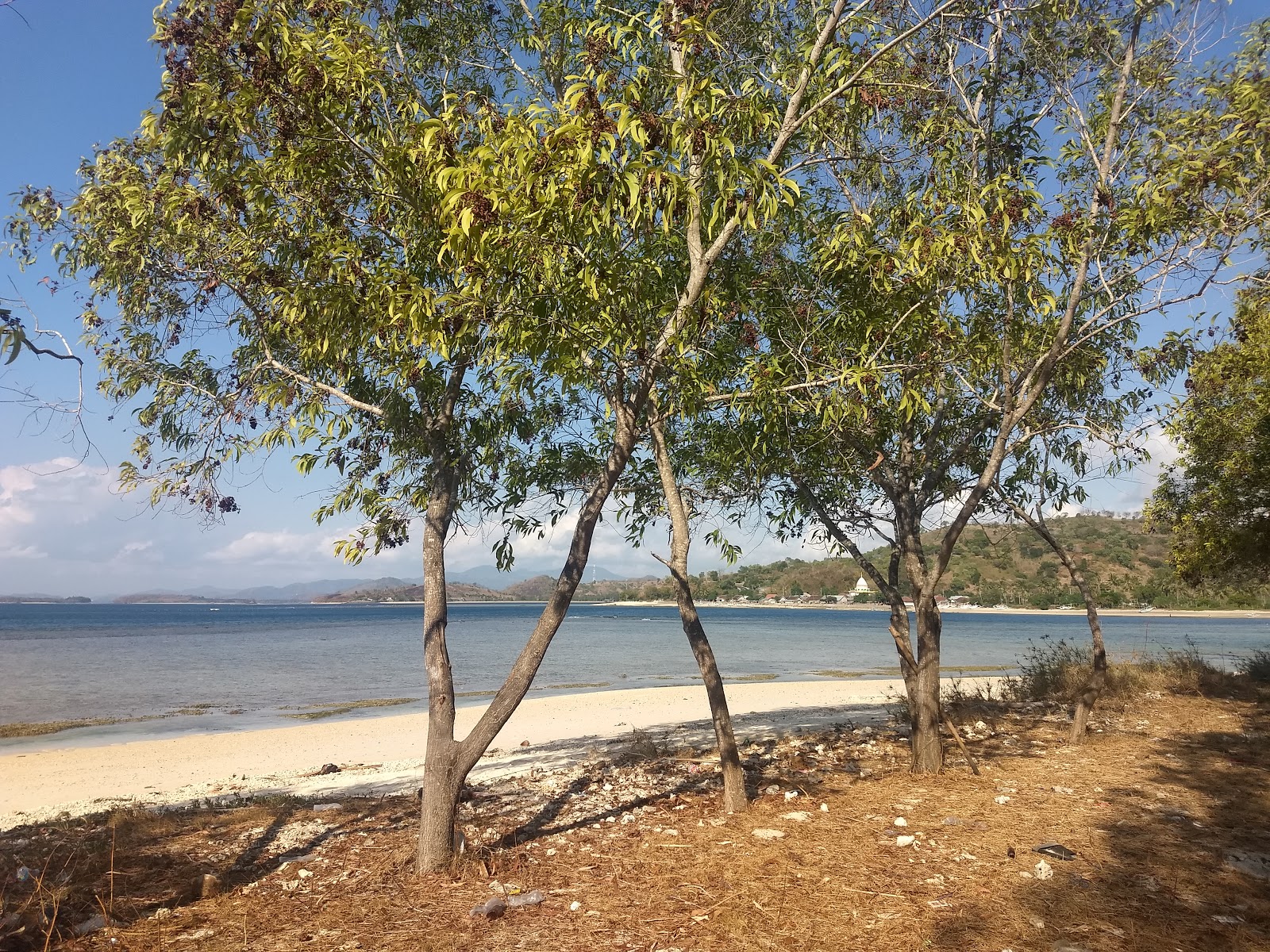 Ela Ela Beach photo #8