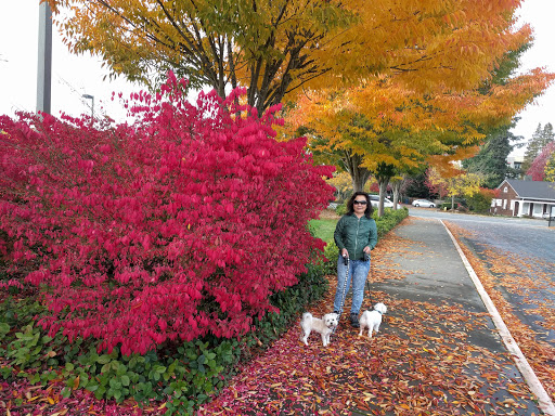 Community Center «Old Redmond Schoolhouse Community Center», reviews and photos, 16600 NE 80th St, Redmond, WA 98052, USA