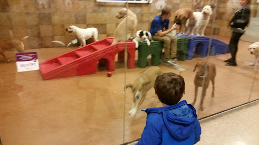 Pet Supply Store «PetSmart», reviews and photos, 310 N White Horse Pike, Lawnside, NJ 08045, USA