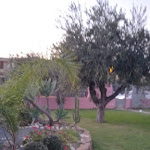 Photo n°1 de l'avis de Carol.o fait le 25/10/2022 à 14:05 sur le  Bed and Breakfast Villa Rosanna à Capoterra